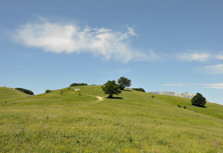 Monti Sibillini